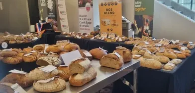 Bakery